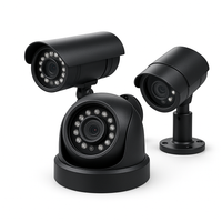 Cámaras de Seguridad