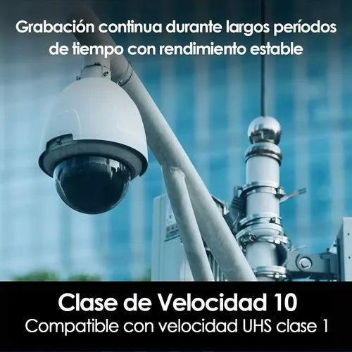 Tarjeta De Memoria Microsd 256gb Wd Purple Sdxc Clase 10 4k