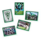 The Fan's Collection: Santiago Wanderers