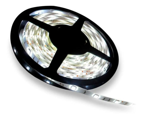 Cinta Led Blanco Frio 5mt Adhesivas + Adaptador 220 Blanco Frío