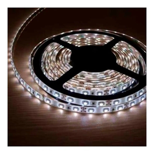 Cinta Led Blanco Frio 5mt Adhesivas + Adaptador 220 Blanco Frío