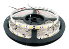 Cinta Led Blanco Frio 5mt Adhesivas + Adaptador 220 Blanco Frío
