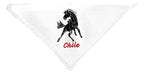 Pañuelo Cueca Competencia Fiestas Patrias Danzas Semental Blanco Semental