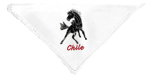 Pañuelo Cueca Competencia Fiestas Patrias Danzas Semental Blanco Semental